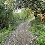 Bay Dream - Part Of The The Bay Filey Village With Pool, Gym And Direct Access, Pub, Restaurant, Tennis And Meadows Walks *
